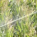 La CHD regula el control de caudales de agua mediante sistemas de telemedida para los aprovechamientos de los grandes usuarios