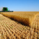 Abonados 6.718 millones de euros de las ayudas de la Política Agraria Común de la campaña 2019