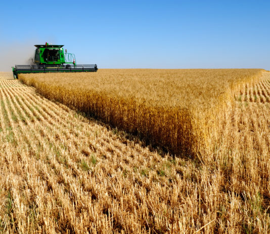Abonados 6.718 millones de euros de las ayudas de la Política Agraria Común de la campaña 2019