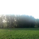 La CHD licita las obras del suministro eléctrico del regadío de La Armuña