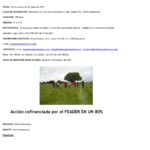 imagen-IEA