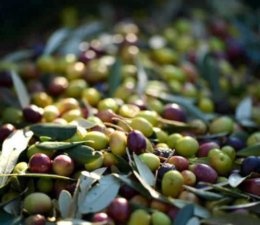 El Gobierno invierte 4 millones de euros para promocionar los alimentos de España en el mercado exterior