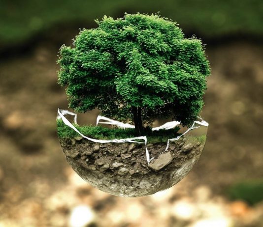 El BOCYL publica la modificación de las bases para ayudas de actividades de información y difusión del sistema de producción ecológico