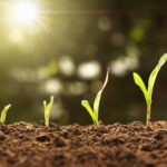 España y Ucrania firman un acuerdo de colaboración en agricultura e industria de alimentación