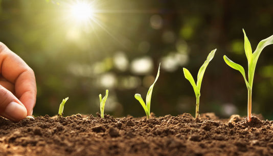 El Gobierno aprueba el real decreto que dará continuidad a las ayudas de la Política Agraria Común (PAC) en 2021 y 2022