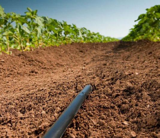 ASAJA defiende la sostenibilidad del riego subterráneo en Castilla y León, que ha apostado por la modernización y el uso racional del agua