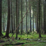 El Gobierno autoriza la convocatoria de ayudas para proyectos innovadores agroalimentarios por 17 millones de euros