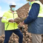 Los remolacheros percibirán este año 125 euros más por hectárea que el año pasado