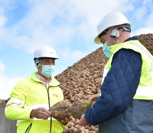 Los remolacheros percibirán este año 125 euros más por hectárea que el año pasado