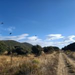 WhatsApp Image 2020-10-19 at 10.47.13