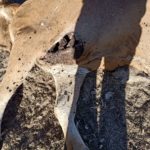 WhatsApp Image 2020-10-19 at 10.47.13 (2)