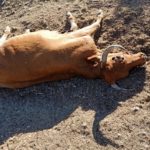 WhatsApp Image 2020-10-19 at 10.47.14 (1)