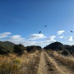 WhatsApp Image 2020-10-19 at 10.47.14