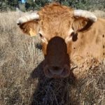 WhatsApp Image 2020-10-19 at 10.47.14 (2)