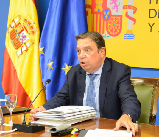 Luis Planas y las CC.AA. acuerdan la posición que defenderá España en la recta final de la negociación de la PAC