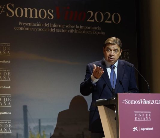 Planas destaca la relevancia de presente y futuro del sector vitivinícola en la economía