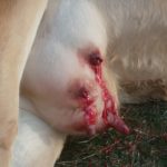 WhatsApp Image 2020-11-03 at 23.35.17