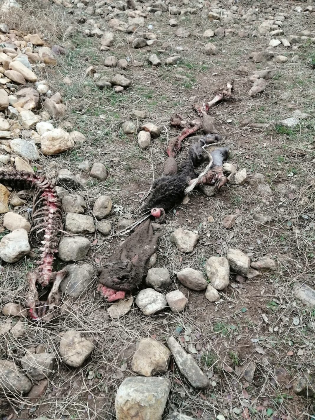 WhatsApp Image 2020-11-04 at 12.30.22