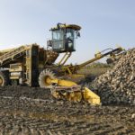 El Gobierno asegura: «El aumento del IVA a las bebidas azucaradas tendrá una repercusión muy limitada en el sector azucarero»