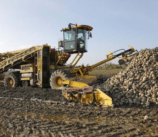 El Gobierno asegura: «El aumento del IVA a las bebidas azucaradas tendrá una repercusión muy limitada en el sector azucarero»