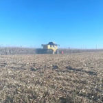 Sube la producción de maíz y se posiciona entre las mejores cosechas de los últimos 30 años Cosecha de maíz, en la provincia salmantina.