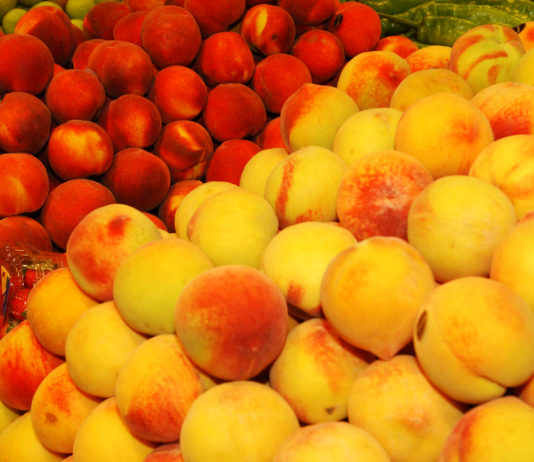 El Ministerio de Agricultura, Pesca y Alimentación anima al sector a participar en la convocatoria que se espera para primeros de año