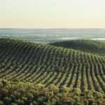 Aprobado un presupuesto adicional de 24’6 millones de euros para el plan de seguros agrarios de 2020