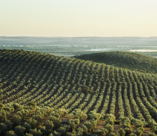 Aprobado un presupuesto adicional de 24’6 millones de euros para el plan de seguros agrarios de 2020