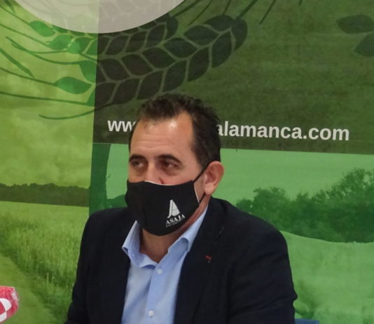 «‘Garzonete’, si no sabes gobernar, ¿pa’ que te metes?»