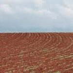 Ampliado hasta el 31 de diciembre el plazo de solicitud de las ayudas a explotaciones agroalimentarias destinada a paliar los efectos de la COVID-19