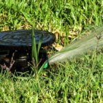 Luis Planas subraya la importancia de los regadíos como generador de valor añadido en el medio rural