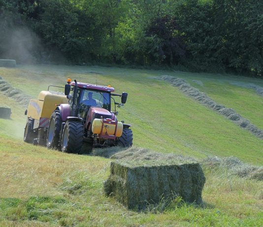 La Diputación abre el plazo para ayudas dirigidas al autoempleo y al fomento de empleo en empresas