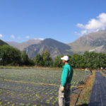 Aprobado el Reglamento Transitorio que garantiza la continuidad del pago de las ayudas de la PAC en 2021 y 2022