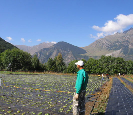 Aprobado el Reglamento Transitorio que garantiza la continuidad del pago de las ayudas de la PAC en 2021 y 2022