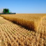 Cerca de 680.000 productores podrán presentar la solicitud única de ayudas directas de la PAC para 2021