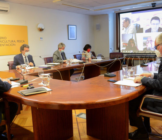 Luis Planas: La rebaja de módulos IRPF 2020 beneficiará a todos los agricultores y ganaderos, con una reducción de la base imponible de 600 millones de euros