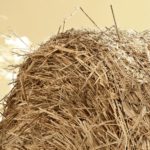 Abonados 4.089 millones de euros de las ayudas directas de la PAC de la campaña 2020