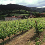 Bruselas flexibilizará la norma sobre destilación o de ayudas al almacenamiento privado del vino