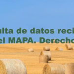 hay-bales-1930612_1920 copia