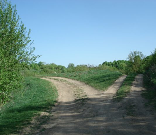 La Junta invertirá 448.030 euros en obras de infraestructura rural en Villasbuenas II