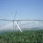 El Ministerio de Agricultura Pesca y Alimentación invertirá 15’3 millones en caminos y desagües del regadío de La Armuña, en Salamanca