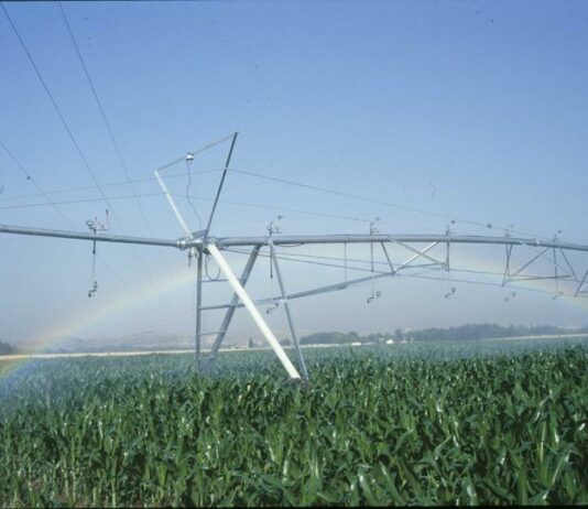 El Ministerio de Agricultura Pesca y Alimentación invertirá 15’3 millones en caminos y desagües del regadío de La Armuña, en Salamanca
