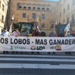 WhatsApp Image 2021-03-25 at 11.20.49