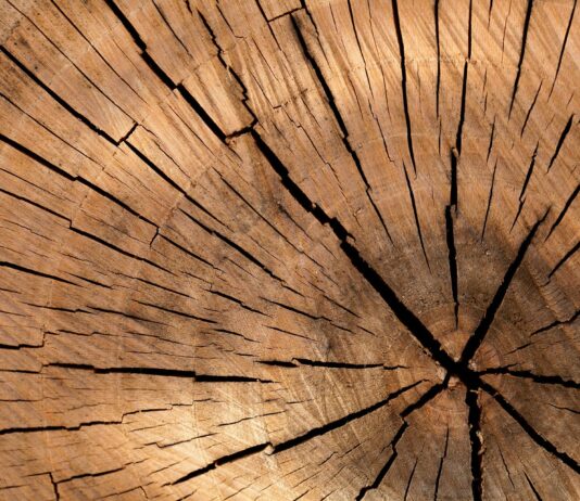 El 31 de marzo acaba el plazo para que maderistas e importadores presenten la declaración responsable anual