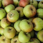 El director general de la Industria Alimentaria pone en valor el incremento de un 7,7 % en el consumo de alimentos ecológicos