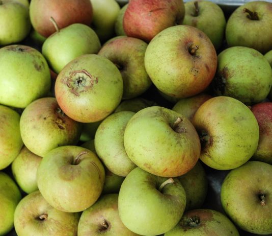 El director general de la Industria Alimentaria pone en valor el incremento de un 7,7 % en el consumo de alimentos ecológicos