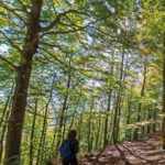 El Ministerio de Agricultura, Pesca y Alimentación reedita el folleto de caminos naturales y vías verdes de España