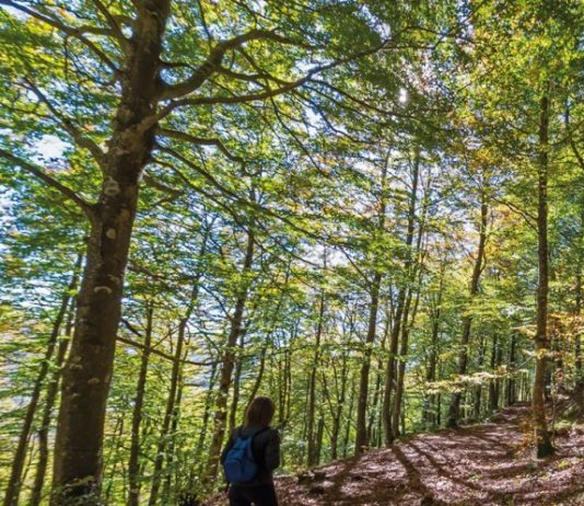 El Ministerio de Agricultura, Pesca y Alimentación reedita el folleto de caminos naturales y vías verdes de España