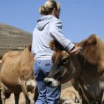 Luis Planas destaca el compromiso del Gobierno por reducir la brecha a la que se enfrentan las mujeres en el medio rural