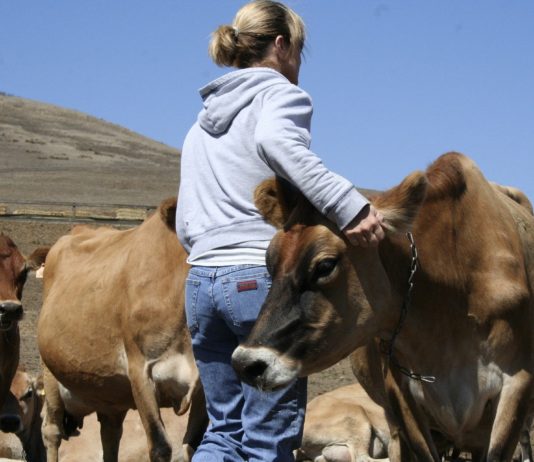 Luis Planas destaca el compromiso del Gobierno por reducir la brecha a la que se enfrentan las mujeres en el medio rural